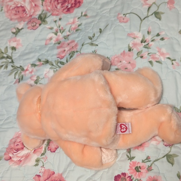 Dearest Beanie Buddy - Picture 9 of 9